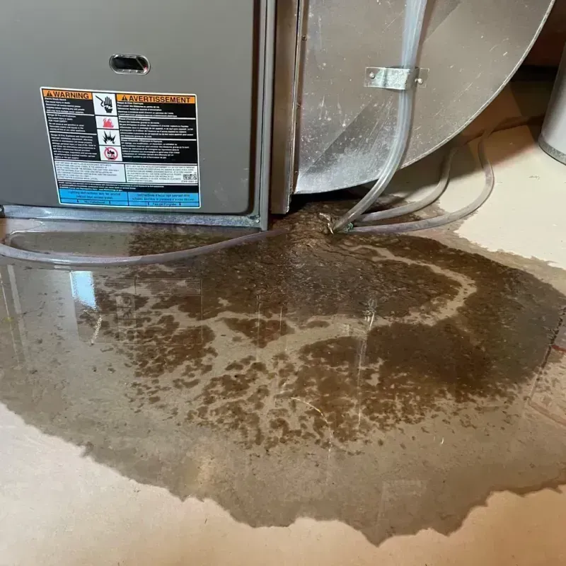 Appliance Leak Cleanup in Wright City, MO